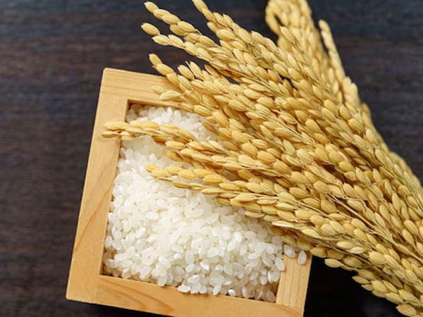 Rice exporters seek budget sops, interest subvention to boost competitiveness