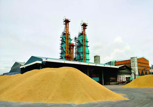 Thailand extends support measures for rice industry