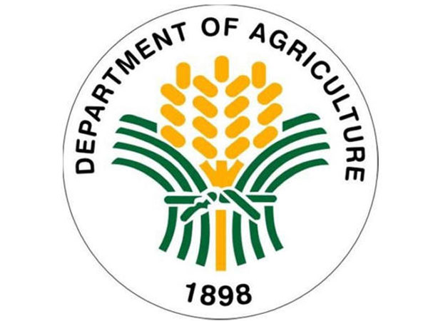 DA launches first barangay-level affordable rice program in Davao City