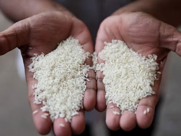 Govt temporarily discontinues rice fortification under PMGKAY, cites shelf life concerns
