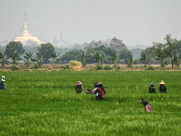 Southeast Asia’s Coming Food Crisis