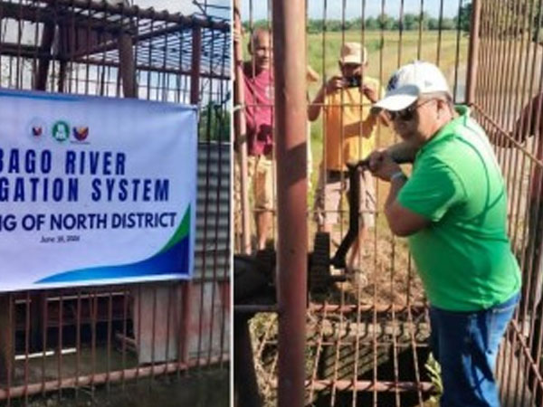 Irrigation reopens for 6K hectares of rice farms in central Negros