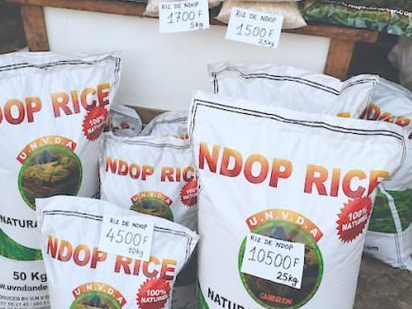Cameroon Upgrades Ndop Rice Facilities to Support Import Substitutio