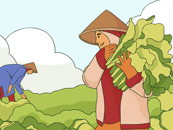 Agricultural trade overhaul required to improve food security