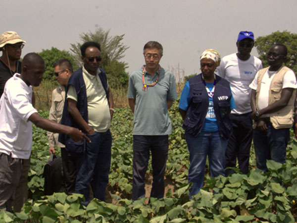 WFP sees potential for Chinese technology to boost rice farming in Aweil