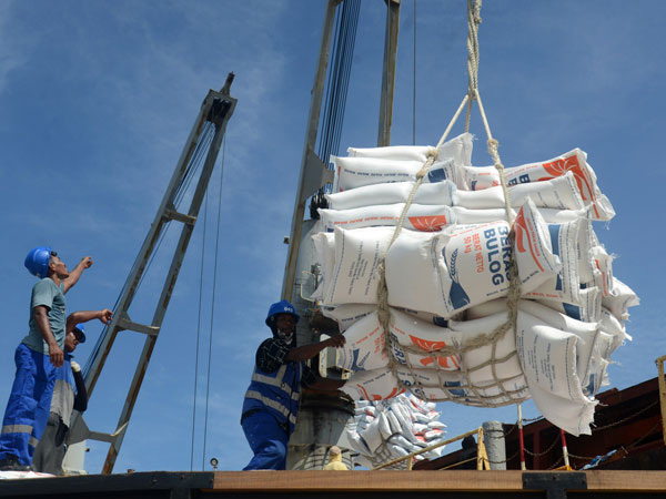 Govt mounts probe after illegal rice import slips into Aceh