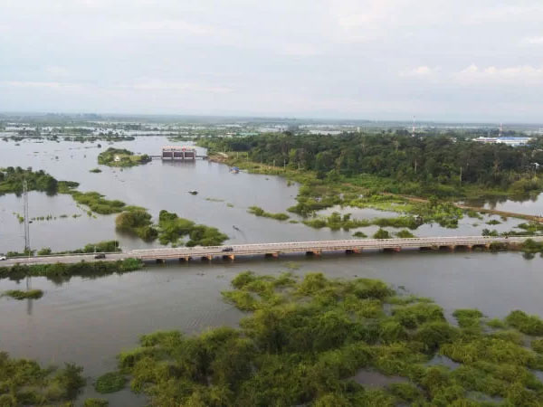 Supply concerns push Thai rice prices to 4-month peak