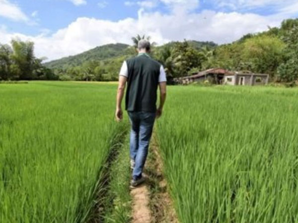 DA eyes 300K MT rice imports as stakeholders vow support for farmers