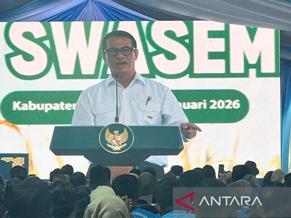 Indonesia's rice self-sufficiency drives sharp global price drop