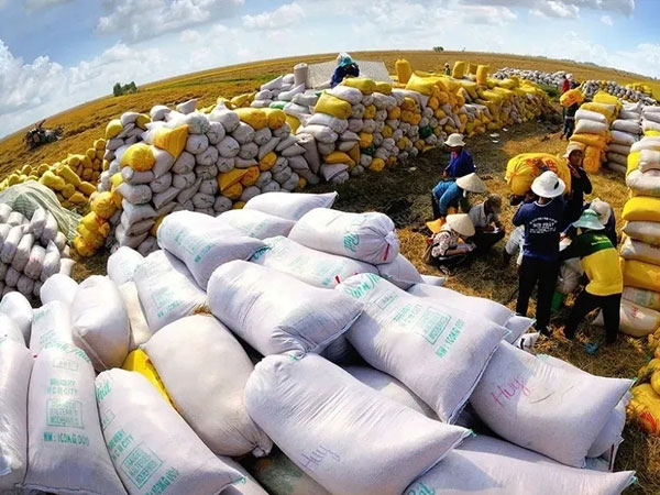 Vietnam forecasts rice exports of 7.73 million tonnes in 2026