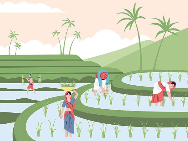 CORPORATE WINDOW : Saving Basmati exports