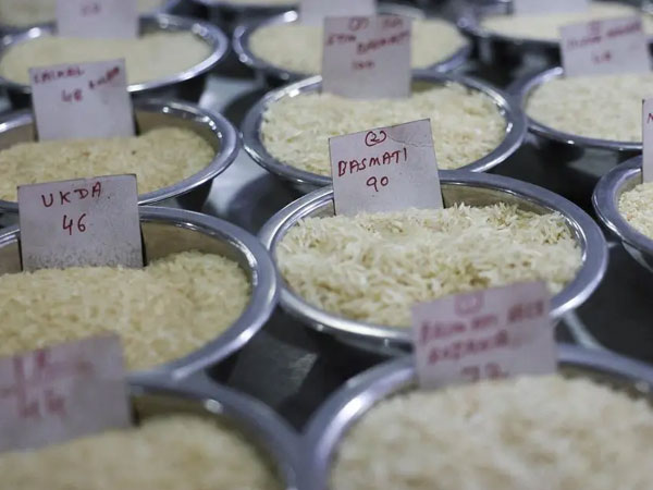 India advises rice exporters to refrain from sending to Lebanon on concerns over MRL norms