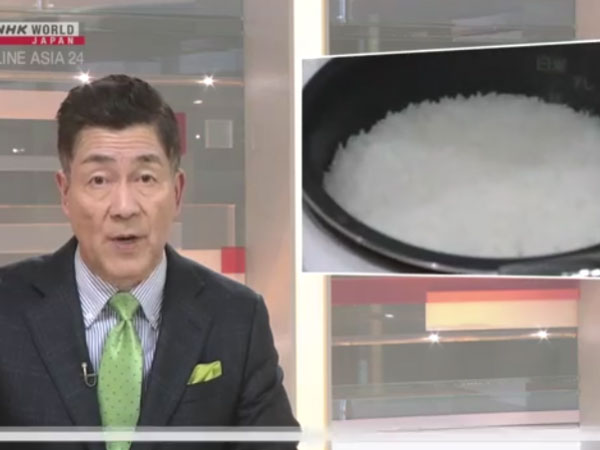 Japan's private-sector rice imports surge in January