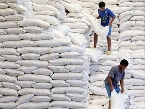 NFA earns P936.5 million from rice tender