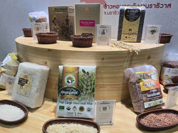 Thai rice exports dip amid tariffs, global glut