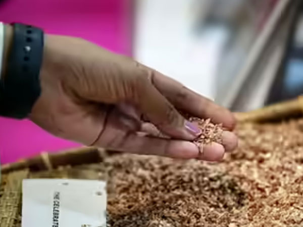 Govt mulls sending surplus rice as aid to conflict-hit Iran