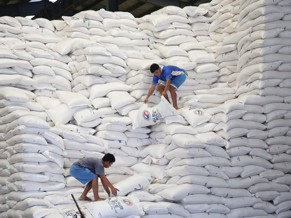 NFA hikes rice buying prices to boost farmers’ income
