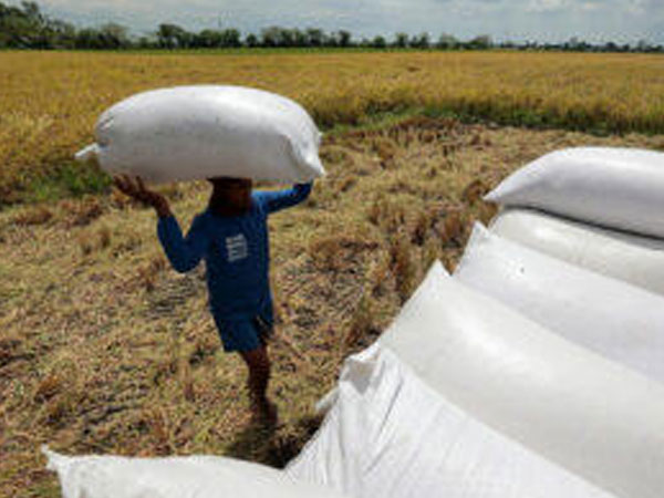 Rice wholesale prices rise sharply in March