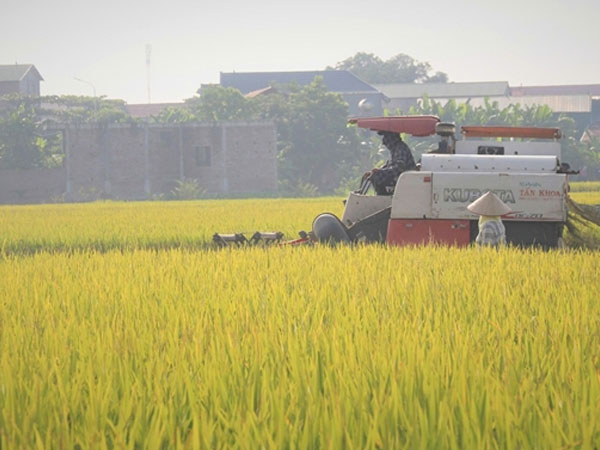 Carbon credits are not yet sufficient to support low-emission agriculture
