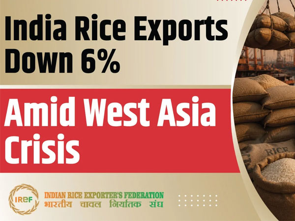 India Rice Exports In Shock: 6% Decline As West Asia War Hits Trade