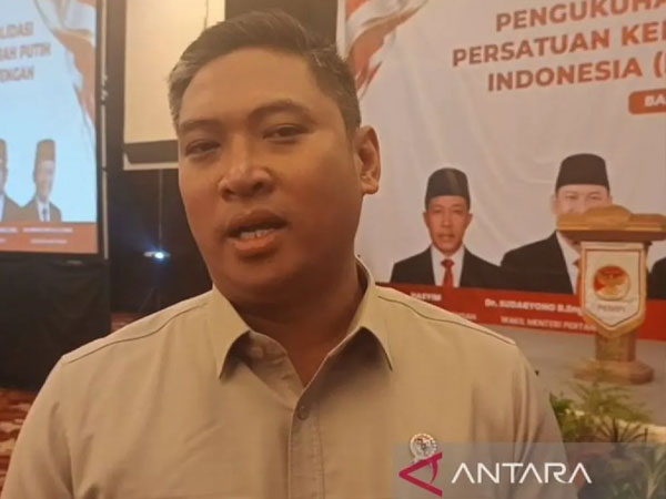 Indonesia rice reserves hit record ahead of dry season
