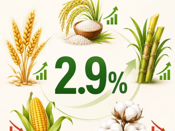 Pakistan’s agriculture sector grows 2.9% in FY26 as wheat, rice and sugarcane output rises