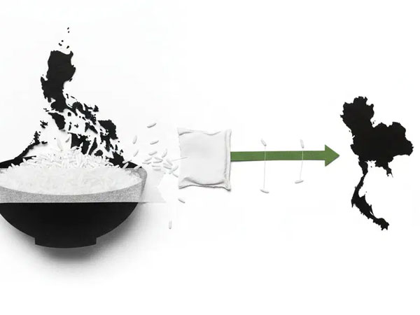 Asian Rice Prices Diverge As Philippine Buying Pauses