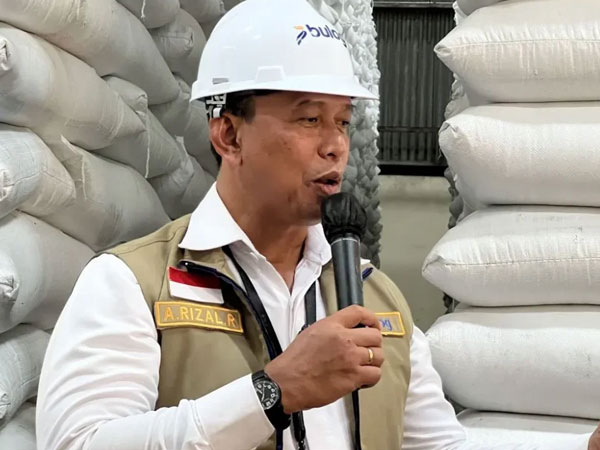Bulog declares 200,000 tons of rice ready for export