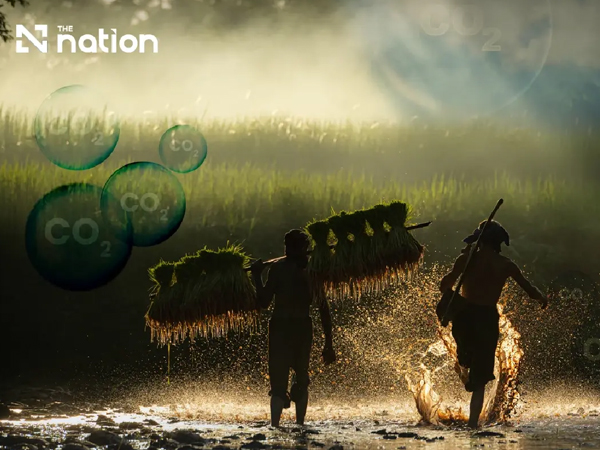 Green Revolution in the Paddy Fields: Central Thailand Launches Low-Carbon Rice Initiative