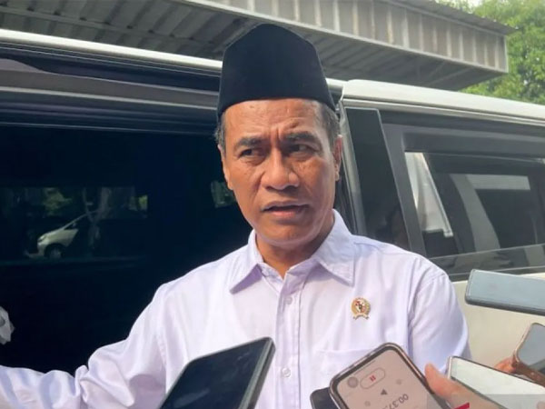 Indonesia rice reserves sufficient until May 2027: Minister