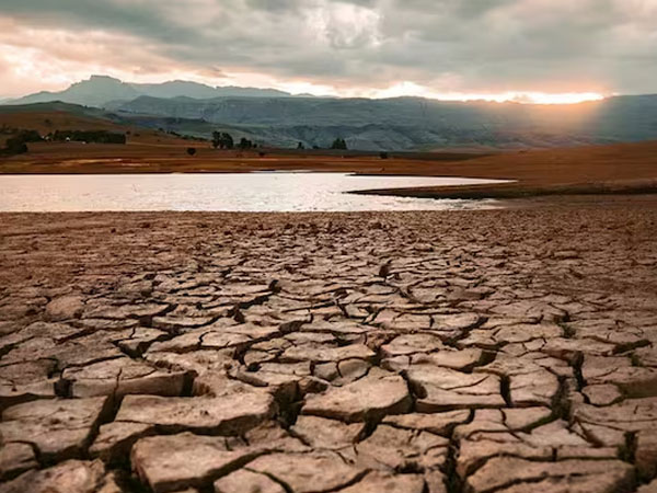 Intensifying El Nino may hit winter crops as well, fuel food inflation, experts warn