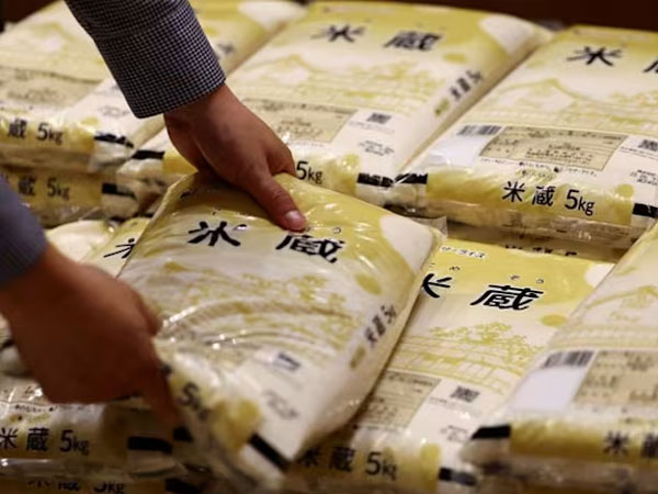 Japan rice prices fall for first time in 3.5 years
