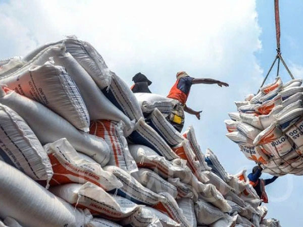 Local authorities to directly issue fragrant rice export certificates from July 2026