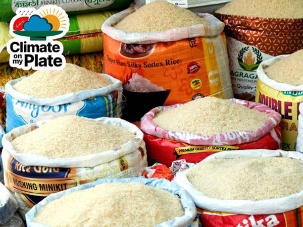 Monsoon rain shortage could stress India's rice bowl and your dinner plate