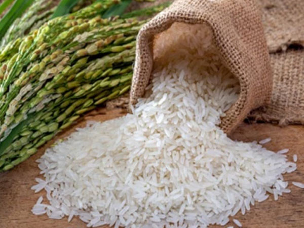Pakistan Rice Festival opens doors to Europe