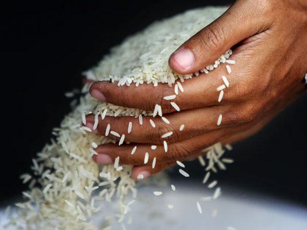 Philippines-Vietnam US$10 billion trade push risks running into rice politics