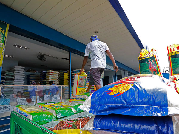 Rice prices drop in May; corn prices rise
