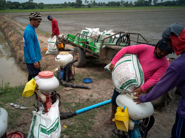 Thai farm debt crisis deepens in early test for Anutin's government