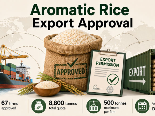 67 firms given go-ahead to export 8,800 tonnes of aromatic rice