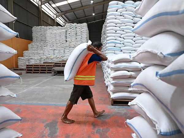 Bapanas assures El Nino will not affect Indonesia's food security