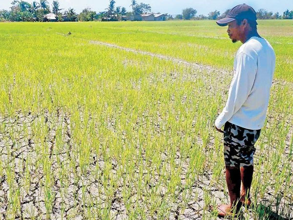 Government scrambles to respond to looming El Niño