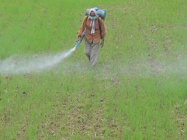 Indian rice export prices extend gain on higher reserve price, monsoon concerns