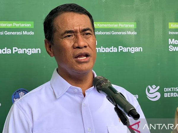Indonesia leverages surplus, global prices to pursue rice exports
