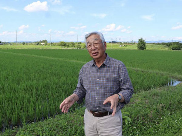 Japan farmers concerned about falling rice prices after past shortages give way to surplus