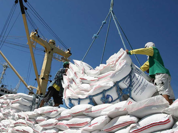 Marcos studying extension of P50/kilo price cap on imported rice