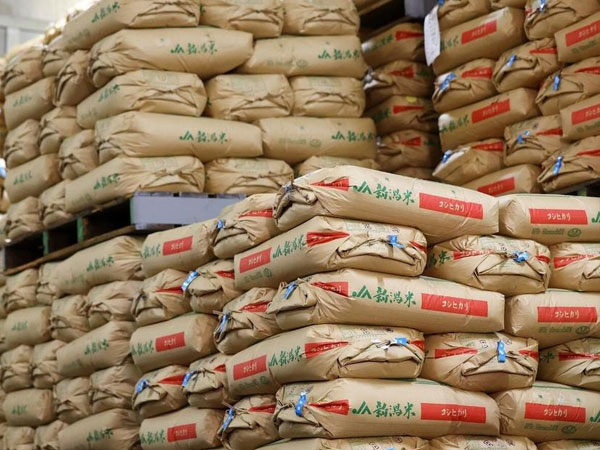 Sales of rice from 2025 harvest to Japan wholesalers hit record low