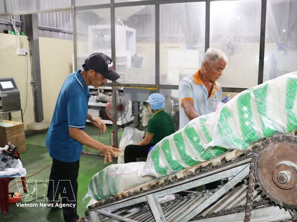 Vietnam exports 5.3 million tonnes of rice, earning 2.52 billion USD