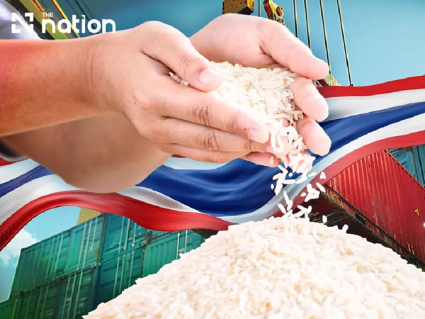 Cambodian rice undercuts Thai Hom Mali by US$400 a tonne