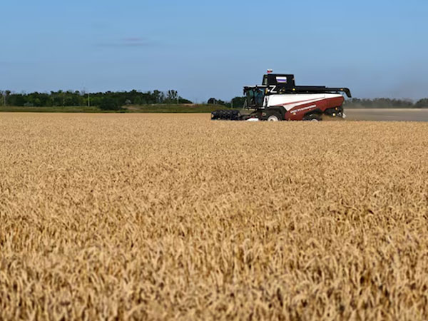 Decades of farm gains, inventories strengthen food system against 'super' El Nino
