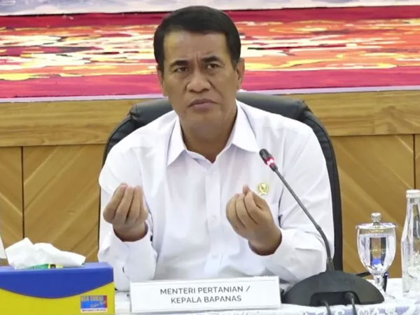 Minister details Indonesia's shifting role in global rice market